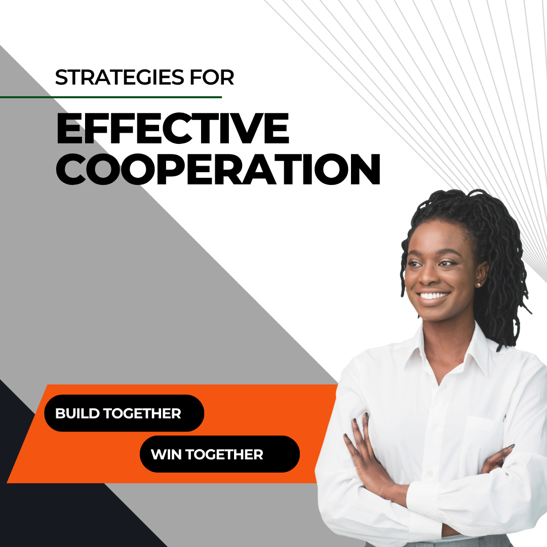 STRATEGIES FOR EFFECTIVE COOPERATION